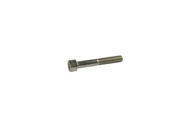 Screw, SHC, 1/4-20 X 2 / Vis 04-6000-08
