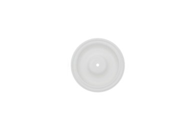 Full Stroke Back-up Diaphragm PTFE / Membrane à course complète 08-1040-55-42