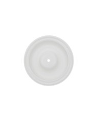 Full Stroke Back-up Diaphragm PTFE / Membrane à course complète 08-1040-55-42
