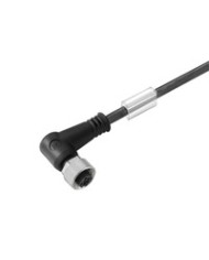 Câble capteur/actionneur confectionné, Une extrémité sans connecteur, M8, Nombre de pôles: 3, Longueur du câble: 5 m, Femelle coudée TYPE SAIL-M8BW-3-5.0U