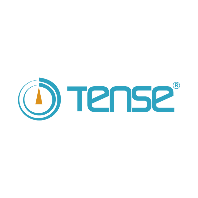 TENSE ELECTRONIC